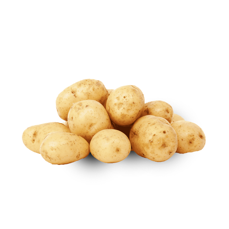 Potato